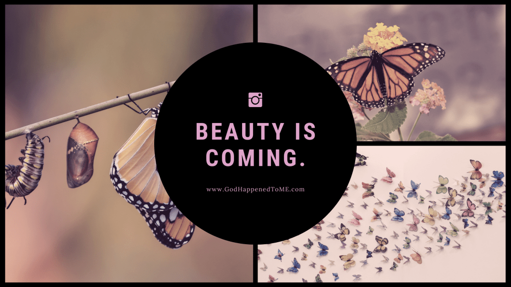Beauty is coming.